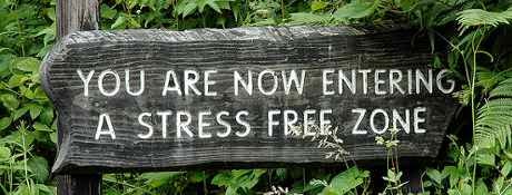 Amazon Stress Free